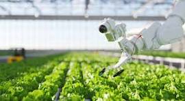 How AI-Driven Drones, Sensors, and Robotics Optimize Crop Monitoring, Irrigation, and Harvesting download (1)