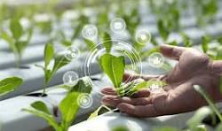 Climate-Smart Farming Technologies: Adapting to Climate Change download (2)
