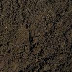 Soil Management for Sustainable Maize Farming in Kenya download (6)