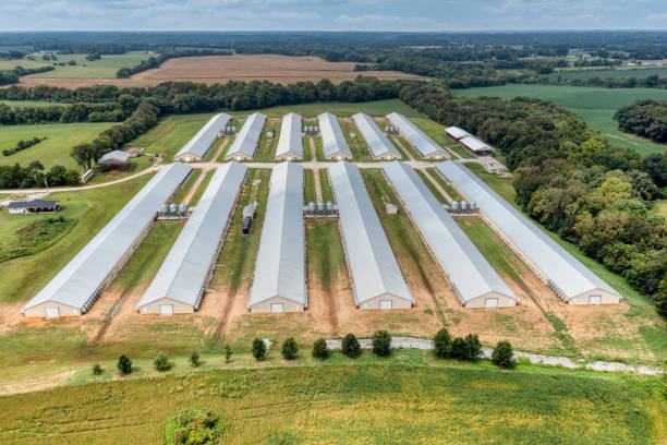 Step-by-step on how to start poultry business kenya(2025) aerial view of poultry houses and farm in tennessee.