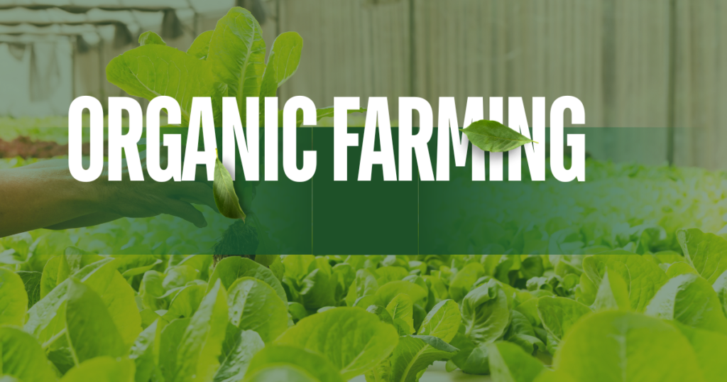 organic farming: how to control pest naturaly. natural pest control