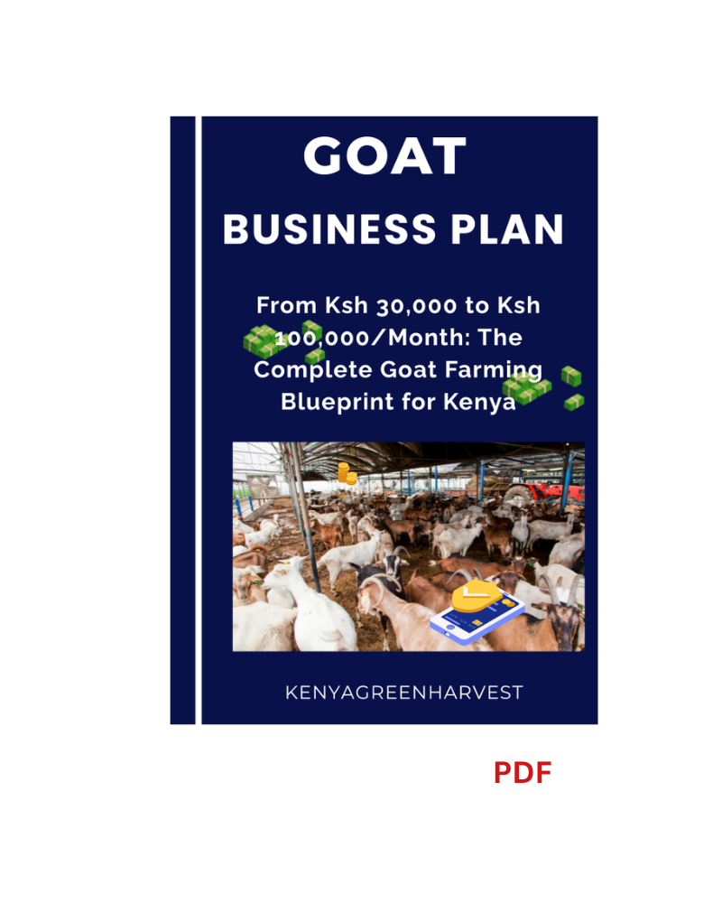 PRACTICAL GOAT BUSINESS PLAN