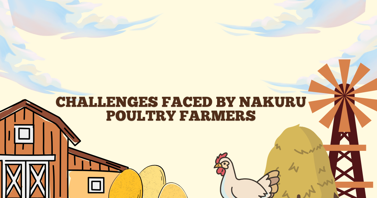 nakuru poultry