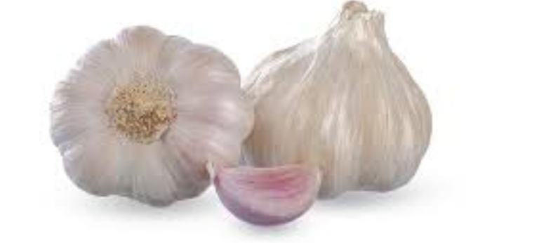 Garlic Farming In Kenya Step by Step.